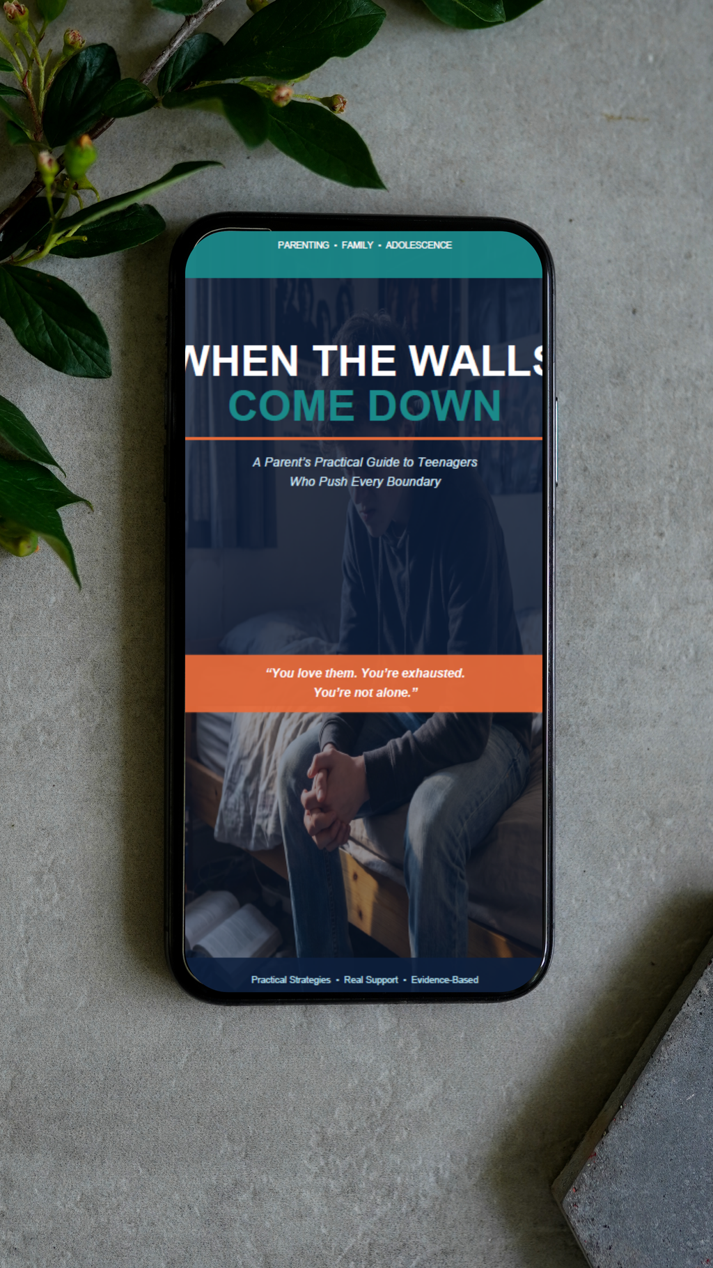 When the Walls Come Down — A Parent's Guide to Teenagers Who Push Every Boundary Instant download